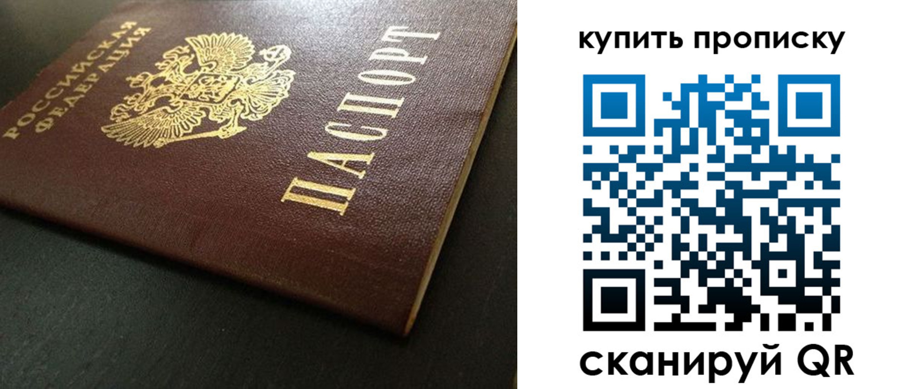 прописка законно в Кировске